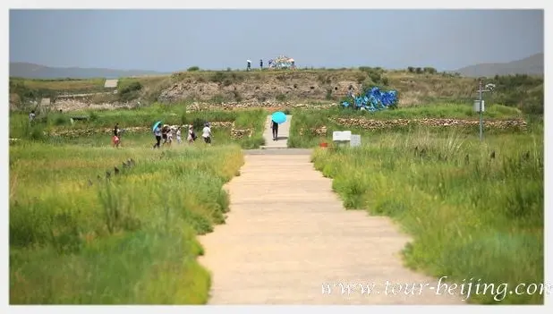 Jinlianchuan Grassland (Tips & Photos)