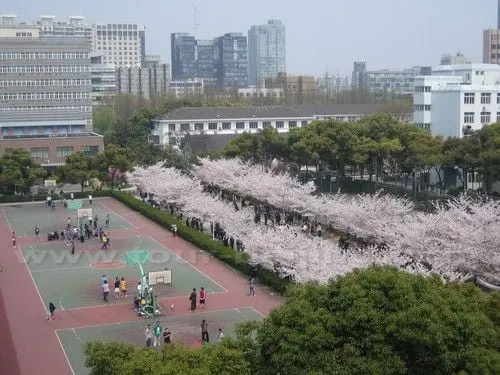 Shanghai in Spring