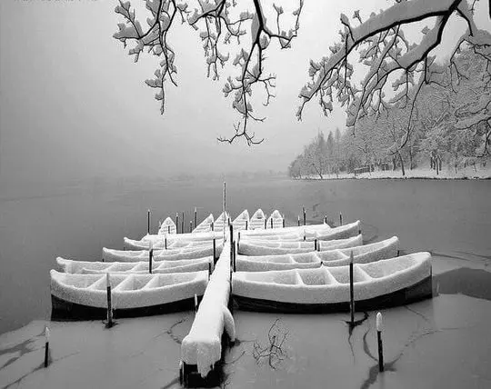 Boat flower on the snowy West Lake