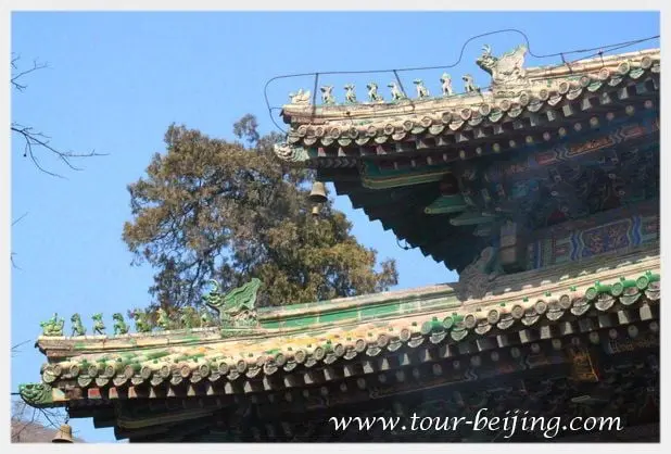 Tanzhe Temple (Tips, Photos & Map)