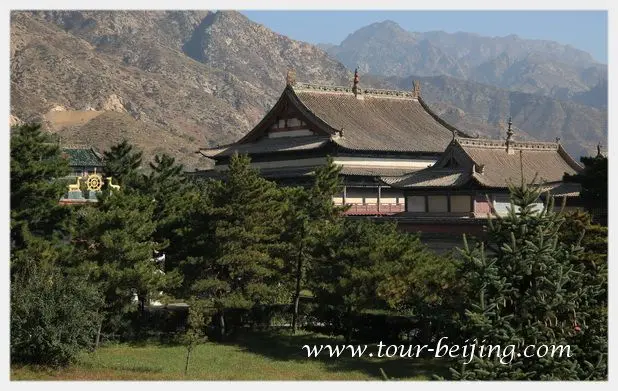 a clear picture of the Sakymuni Hall and Glazed Hall.
