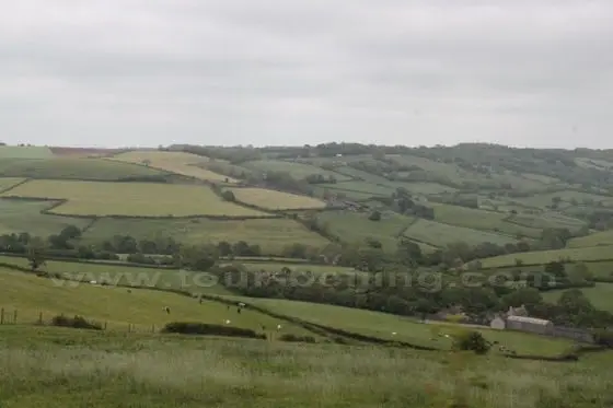 the field