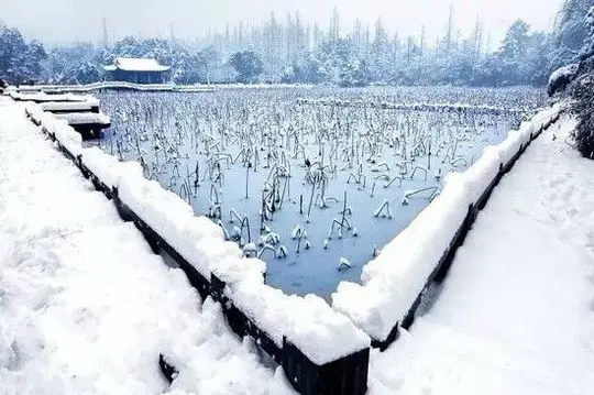 Beautiful Geometry of a Snow Triangle