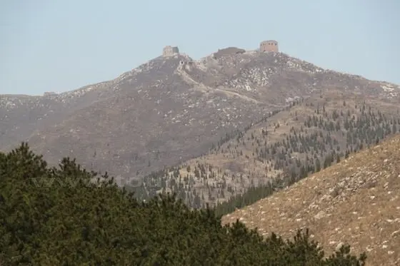 two forts high on the top of the mountains planted with pine trees