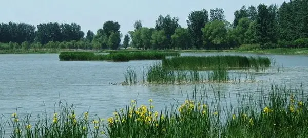 Hanshiqiao Wetland