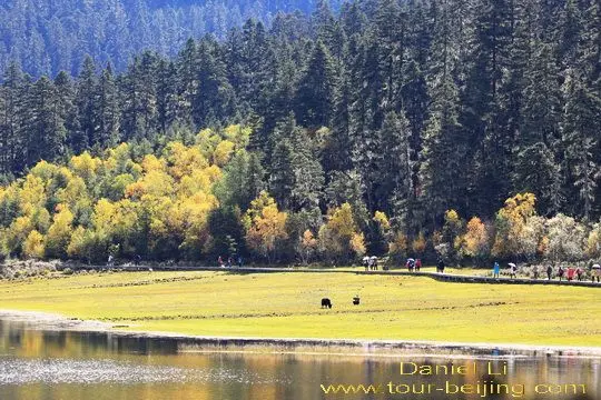 Shudu Lake walk