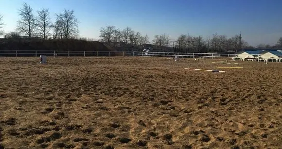 Equestrian Clubs in Beijing (Tips, Photos)