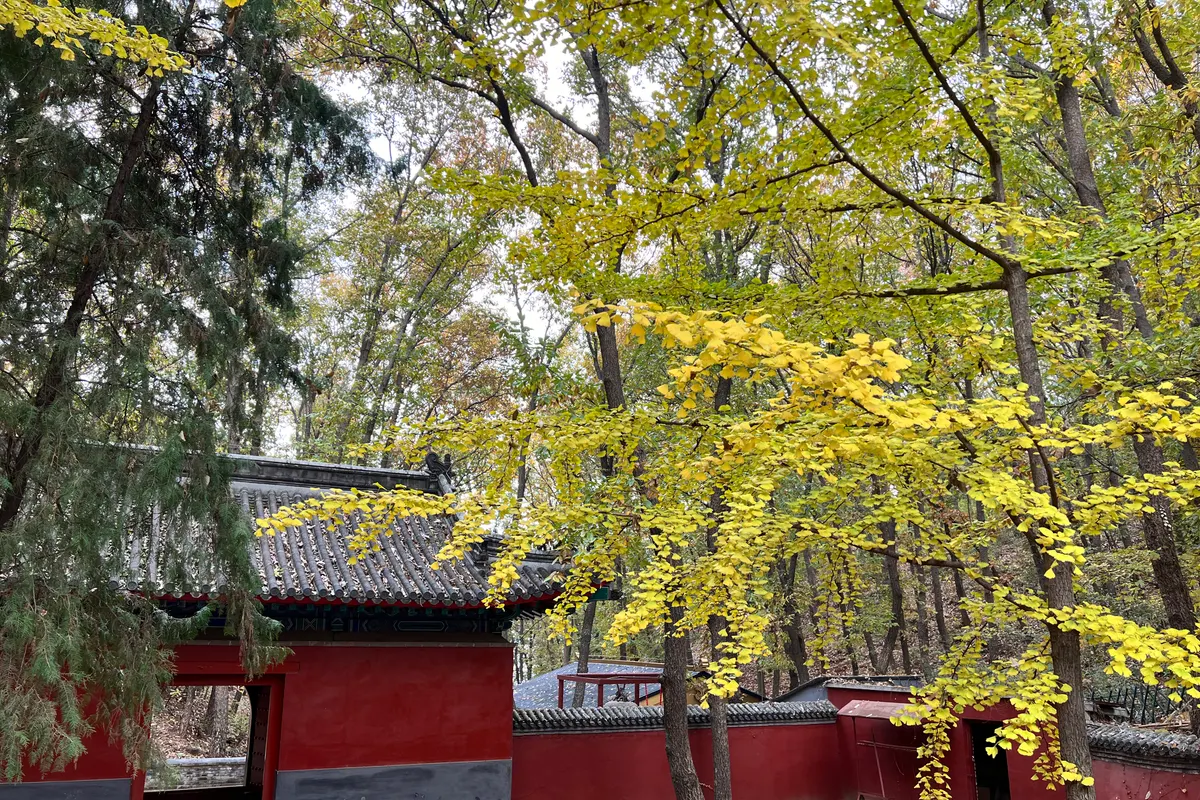 Dalian Taxi: Dalian Taxi Fares, Tips and Phones