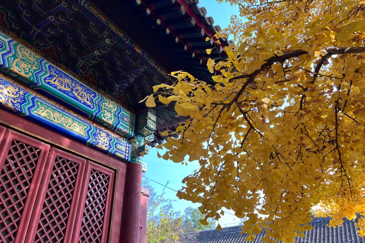 Mindful of the Taxi Scams at Beijing Capital Airport 