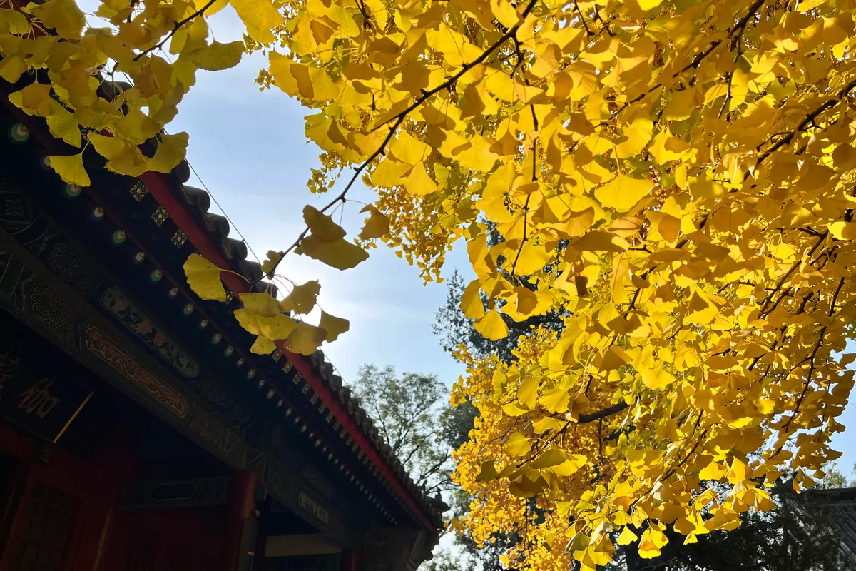 Top 10 Budget Hotels in Beijing, Beijing Cheap Hotels