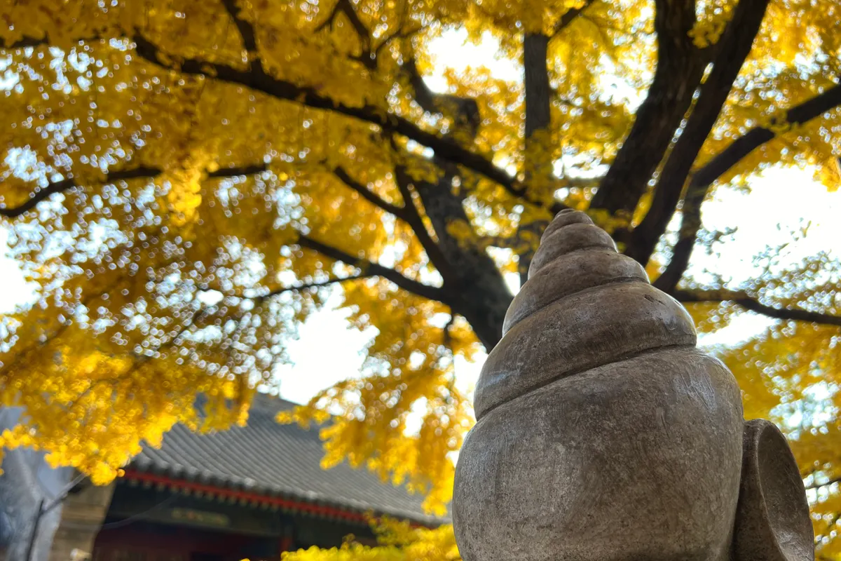 Top 10 Beijing Travel Routes