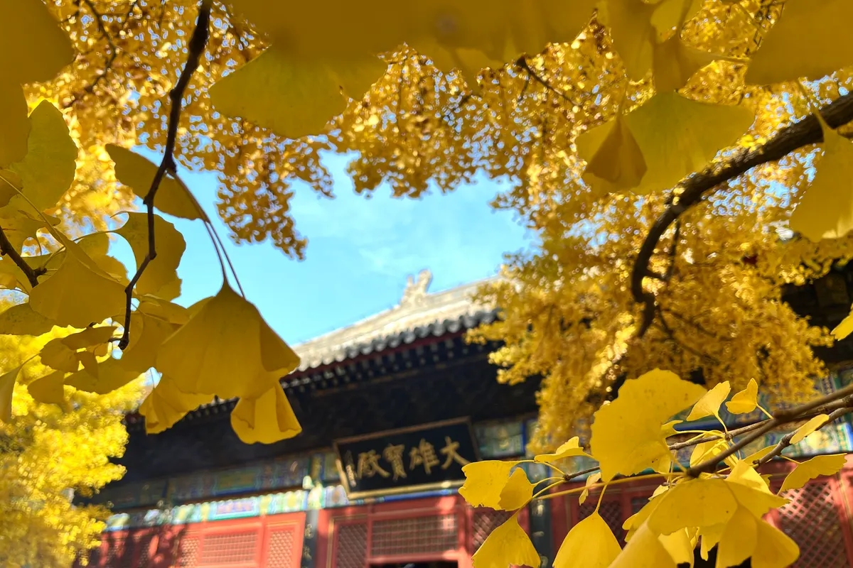 Jiayuguan Taxi: Jiayuguan Taxis, Tips and Phones